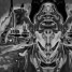 Animeferak is online