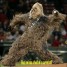 AtomicWookie