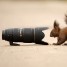 Badwolf1 is online