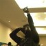 Black_Talon