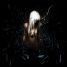 Blackcat_13