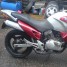 Brianthom211