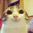 Cabo0sey is online