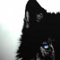 DarkyWolfy is online