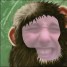 Daveko is online