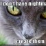 Death_kitty