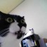 DehKitteh