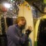 FIS_Wolf