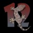 Gecko_12