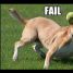 GermanHalo is online