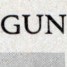 GunNut512