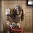 HollowDog