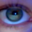 Immy_Kiko