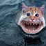 Isurus