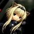 Katerang is online