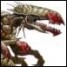 Kython is online