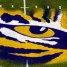 LSUTigers225 is online