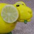 LemonGoat