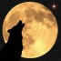 LoneWolf1993