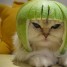 LordPanzer is online