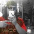 Luigi_Flore is online