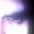 ManintheBox2