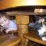 Megan327 is online