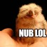 MunkeyXXL is online