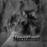 Necrothrall