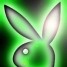 NeonBunny