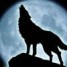 Omega_Wolf