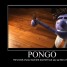 PONGOs_Knife