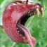 Pantophobia