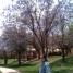 Plazma