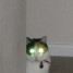 Queenlynx