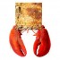 RockLobsterz