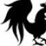 RoosterTooth