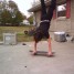 SK8_PUNK