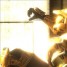Sarge10101 is online