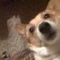 SnapperJack is online