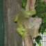 Tegz01 is online