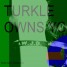 Teh_Turkle