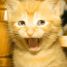 TheBlk1 is online