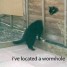 TheHunter051 is online