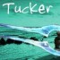 Tuckersarmy