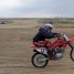 Wild_Boy209