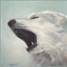 WolfSpirit17