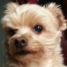 alexander00 is online
