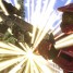 almostmilk is online