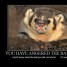 badger_32